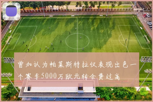 曾加认为帕莱斯特拉仅表现出色一个赛季5000万欧元转会费过高