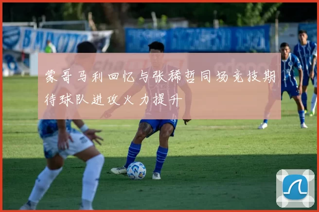蒙哥马利回忆与张稀哲同场竞技期待球队进攻火力提升